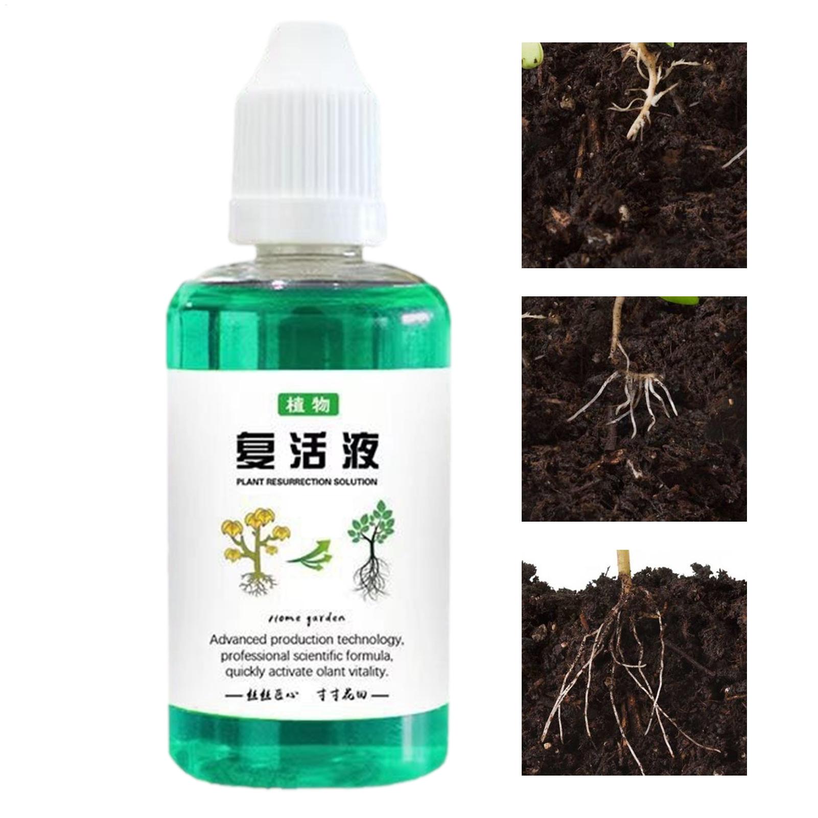 Estimulador de raíces para pla - Root Stimulator Liquid reseña y precio